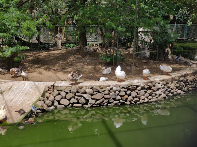 Bannerghatta Biological Park